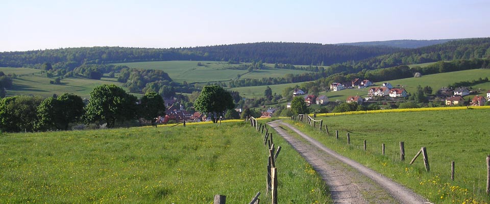 Ortsansicht Wiesen Haus Schönblick